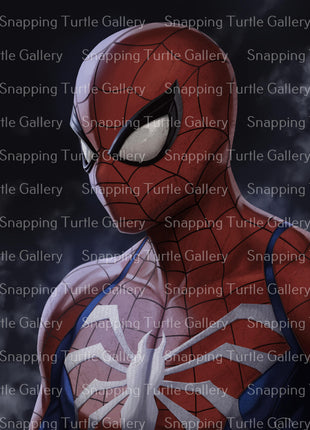 Spiderman Sam Snapping Turtle Gallery