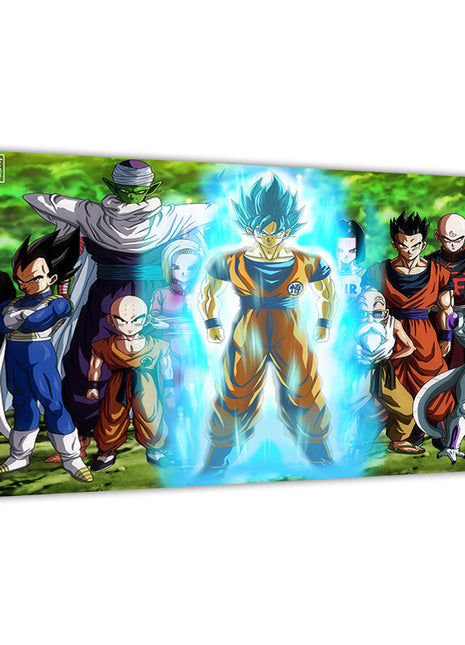Ten-character Dragon Ball team lineup featuring Goku and allies – 16x24 acrylic