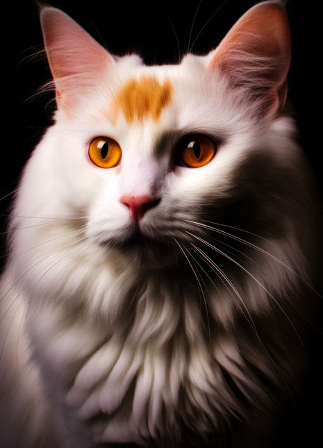 White long-haired cat with ginger forehead patch, amber eyes and tall pink ears.