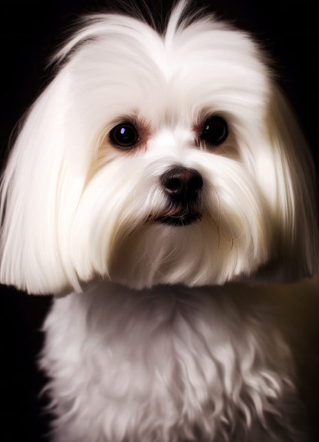 Small white shaggy dog facing forward with long straight facial hair and dark round eyes.