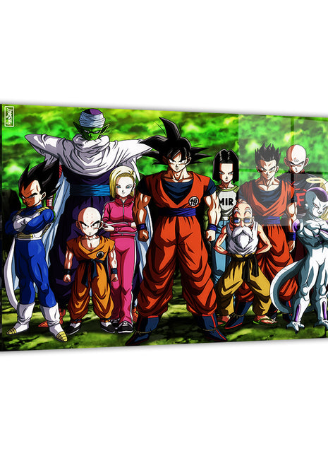 Z_Warrior_Alliance_acrylic_Print_DBZ_Group_Portrait_Wall_Art_STG