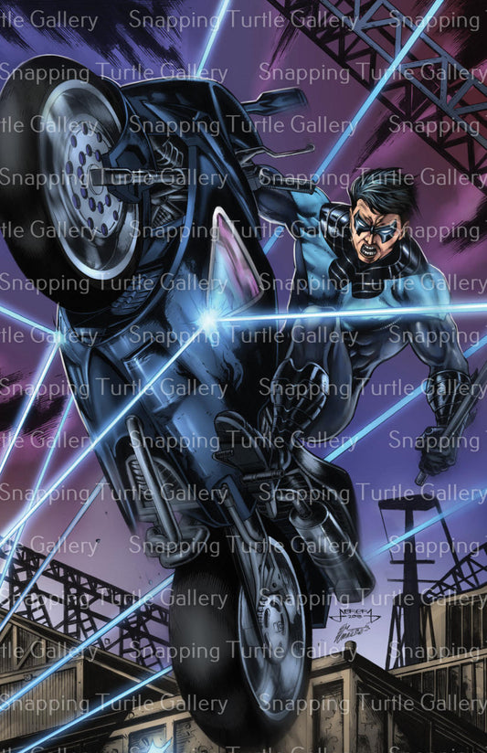 Nightwing on motorcycle - Batman - Snapping Turtle Gallery
