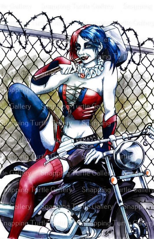 Harley Quinn - Batman - Snapping Turtle Gallery