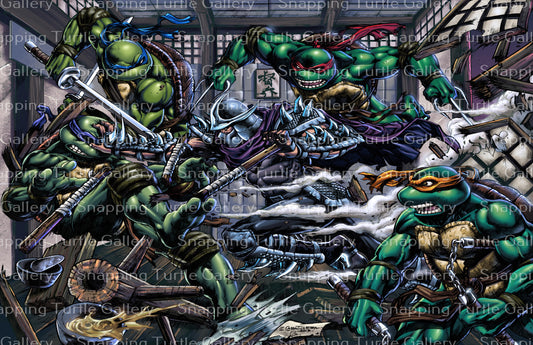 Teenage Mutant Ninja Turtles Vs Shredder - Snapping Turtle Gallery