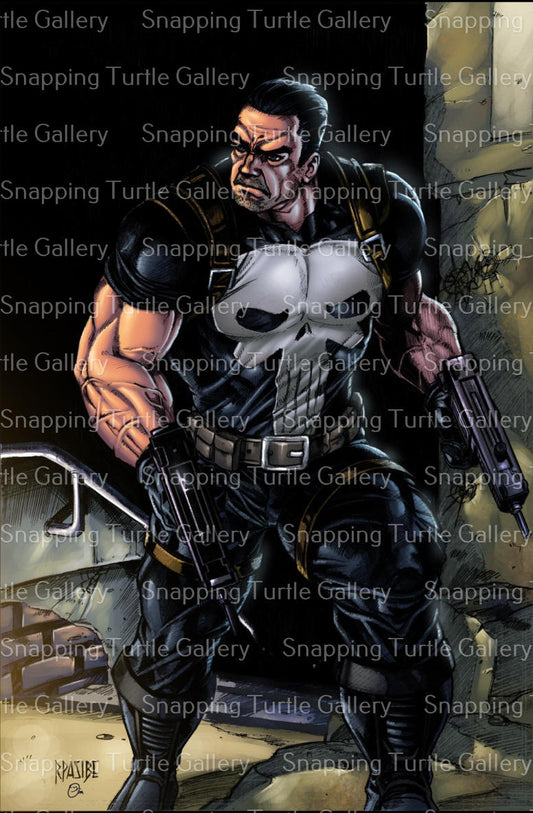 Punisher - Snapping Turtle Gallery