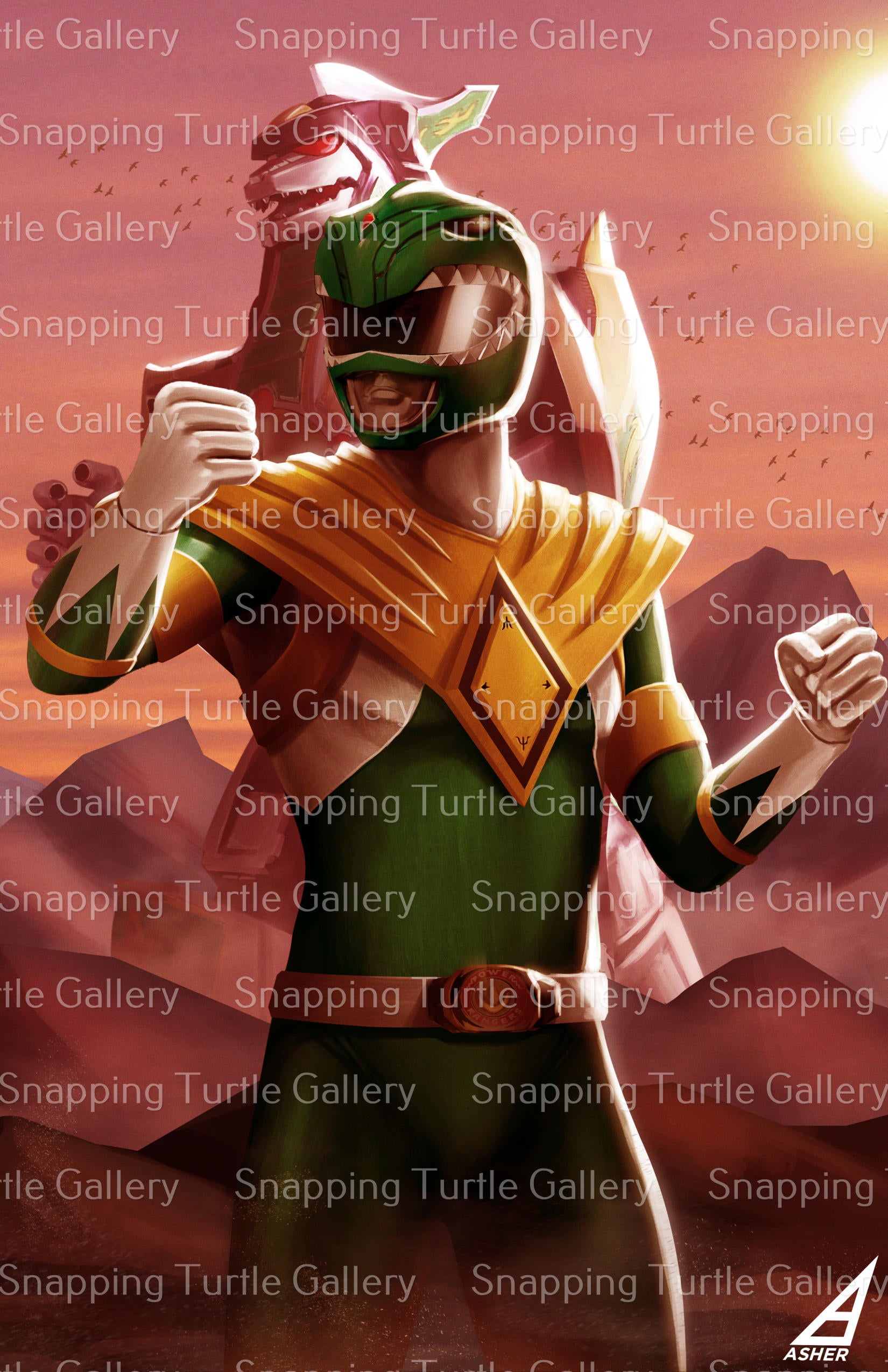 Green Ranger with Dragon Zord - Snapping Turtle Gallery