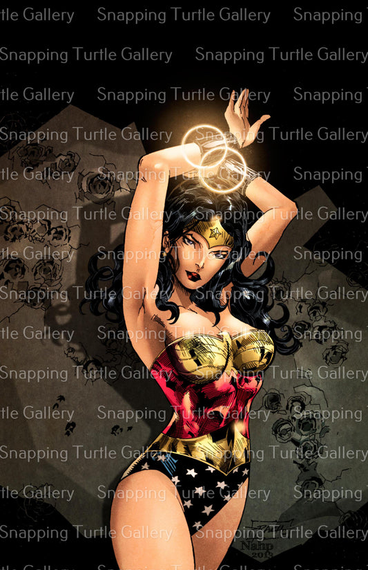 Wonder Woman - Snapping Turtle Gallery