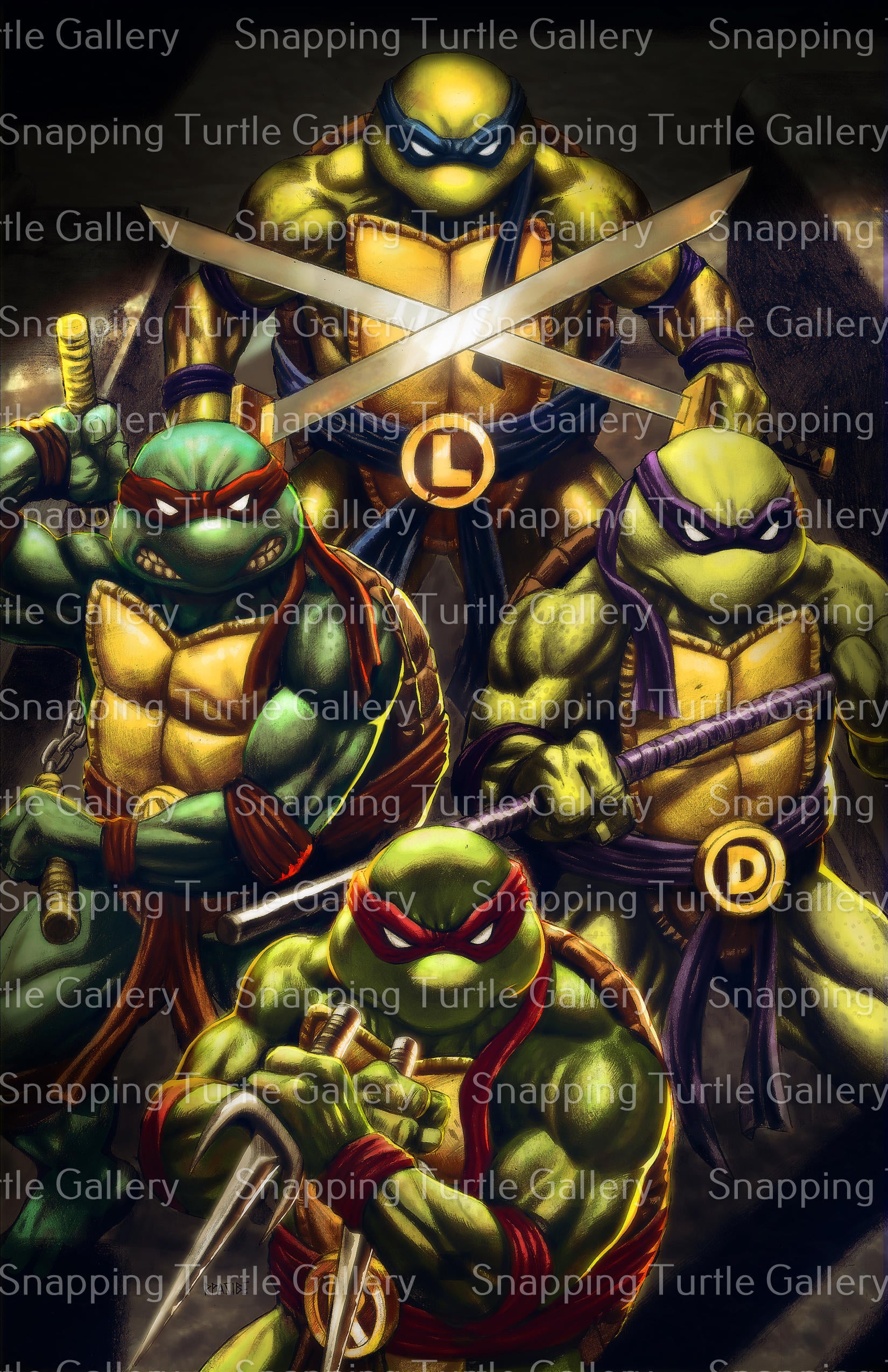 TMNT Family - Teenage Mutant Ninja Turtles - Snapping Turtle Gallery