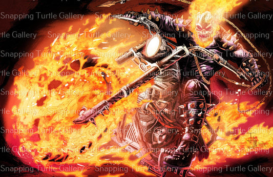 Ghost Rider - Snapping Turtle Gallery
