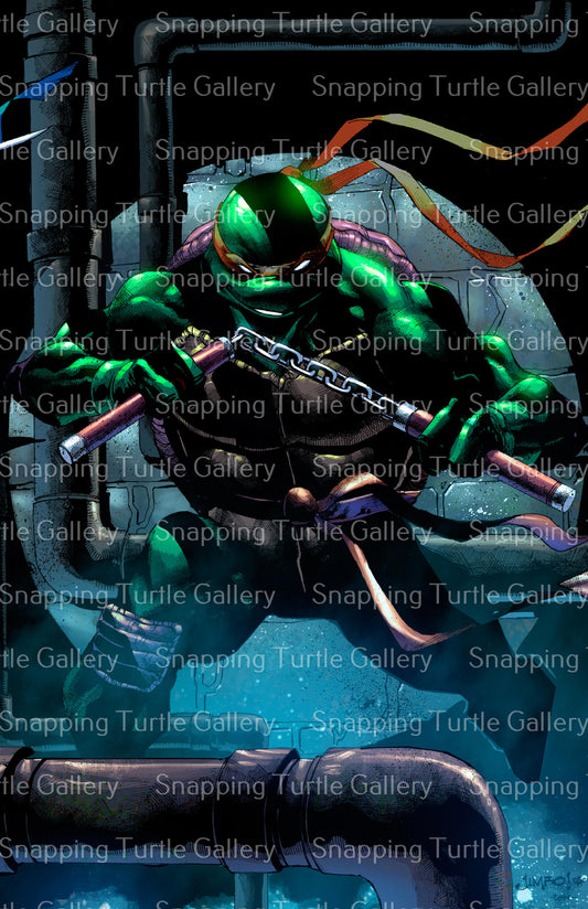 Michelangelo in the Sewers - teenage Mutant Ninja Turtles - Snapping Turtle Gallery