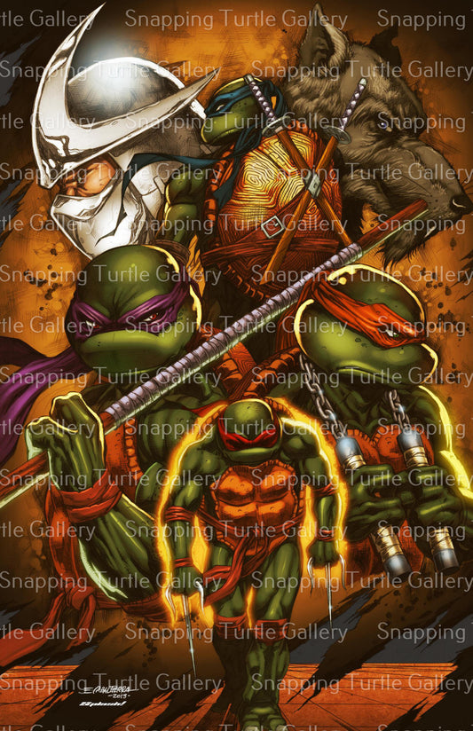 Two Arch Nemesis - teenage Mutant Ninja Turles - Snapping Turtle Gallery