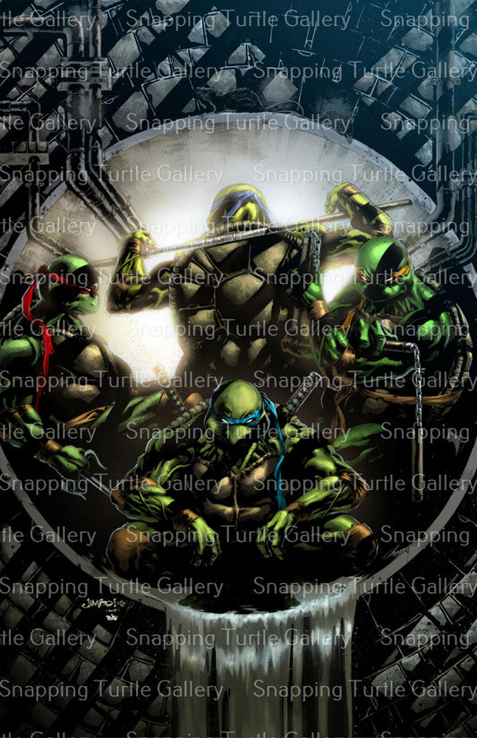 Heroes in a Half-Shell - teenage Mutant Ninja Turtles - Snapping Turtle Gallery