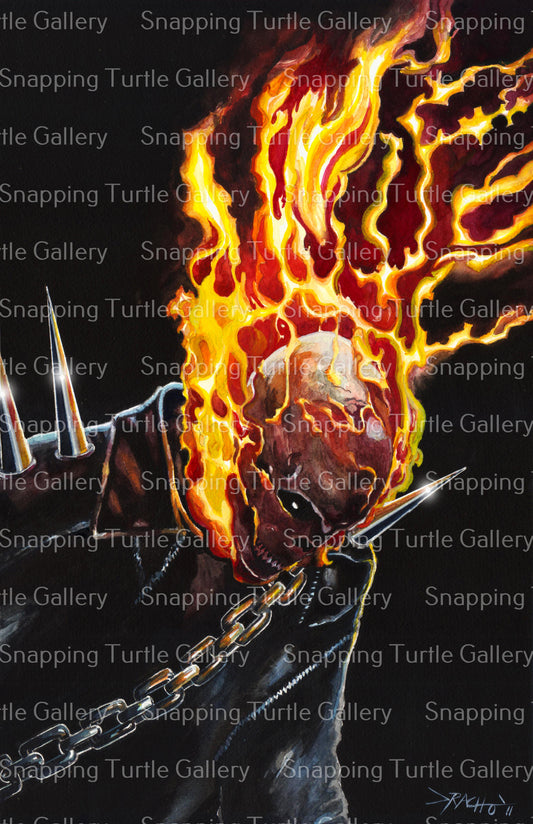 Flames of the Ghost Rider - Snapping Turtle Gallery