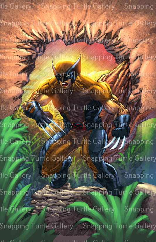 Sunburst Wolverine - X-Men - Snapping Turtle Gallery