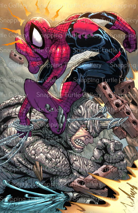 Spider-Man Vs the Rhino - Snapping Turtle Gallery